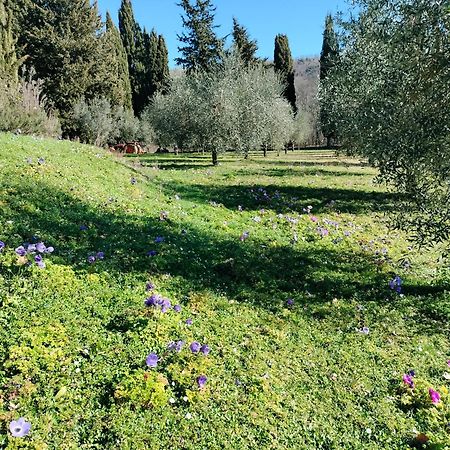 Agriturismo Natura E Salute San Gimignano Ngoại thất bức ảnh