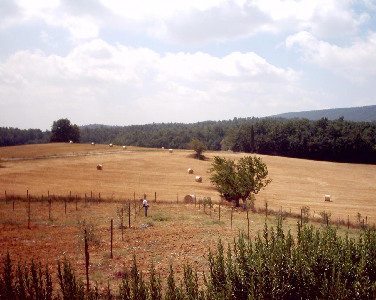 Agriturismo Natura E Salute San Gimignano Ngoại thất bức ảnh