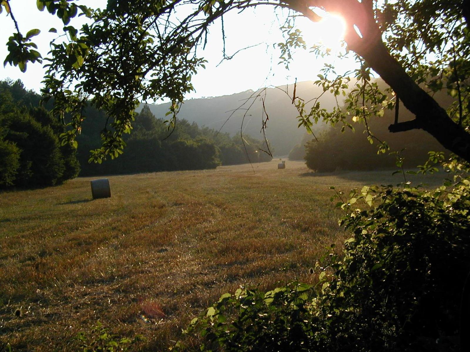Agriturismo Natura E Salute San Gimignano Ngoại thất bức ảnh