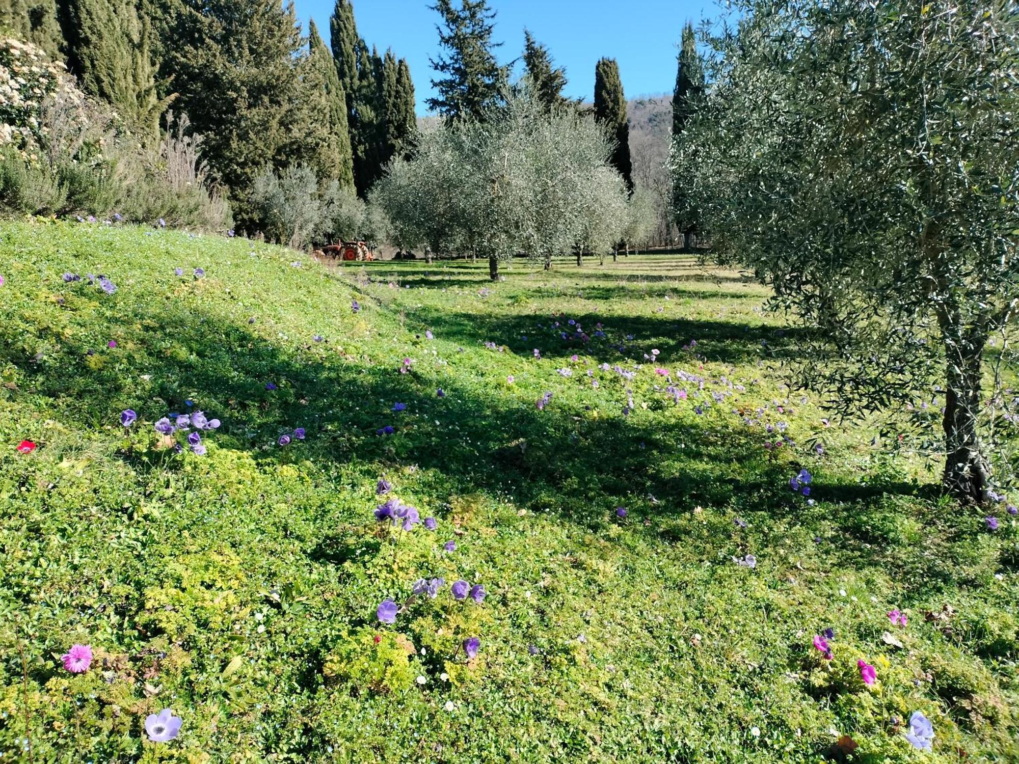 Agriturismo Natura E Salute San Gimignano Ngoại thất bức ảnh